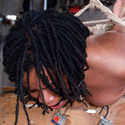 Amateur BDSM Free Photos and Videos