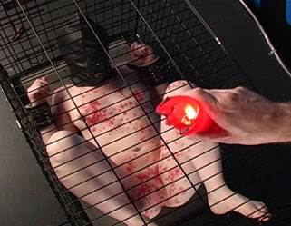 Bondage Videos