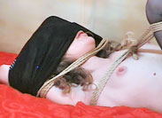 Rope Bondage Videos