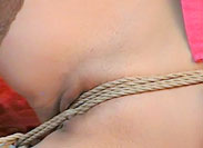 Rope Bondage Videos