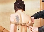 Rope Bondage Videos